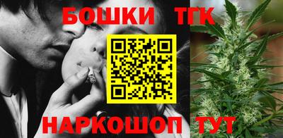 индика Тверь