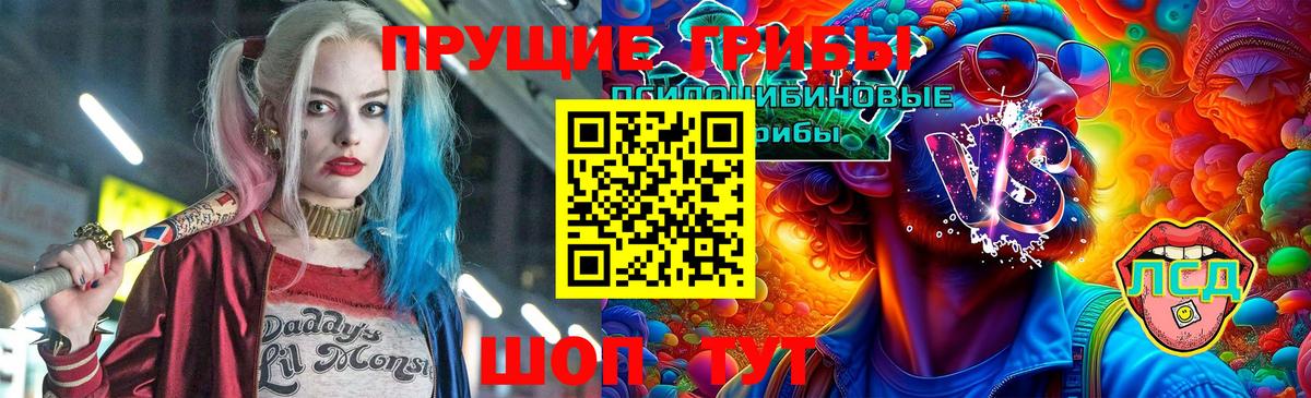 Галлюциногенные грибы Psilocybine cubensis Подольск