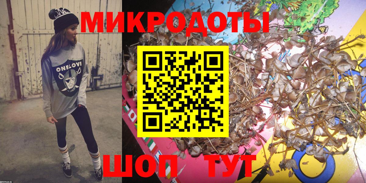 Подольск  Псилоцибиновые грибы Psilocybine cubensis  Вход с VPN 